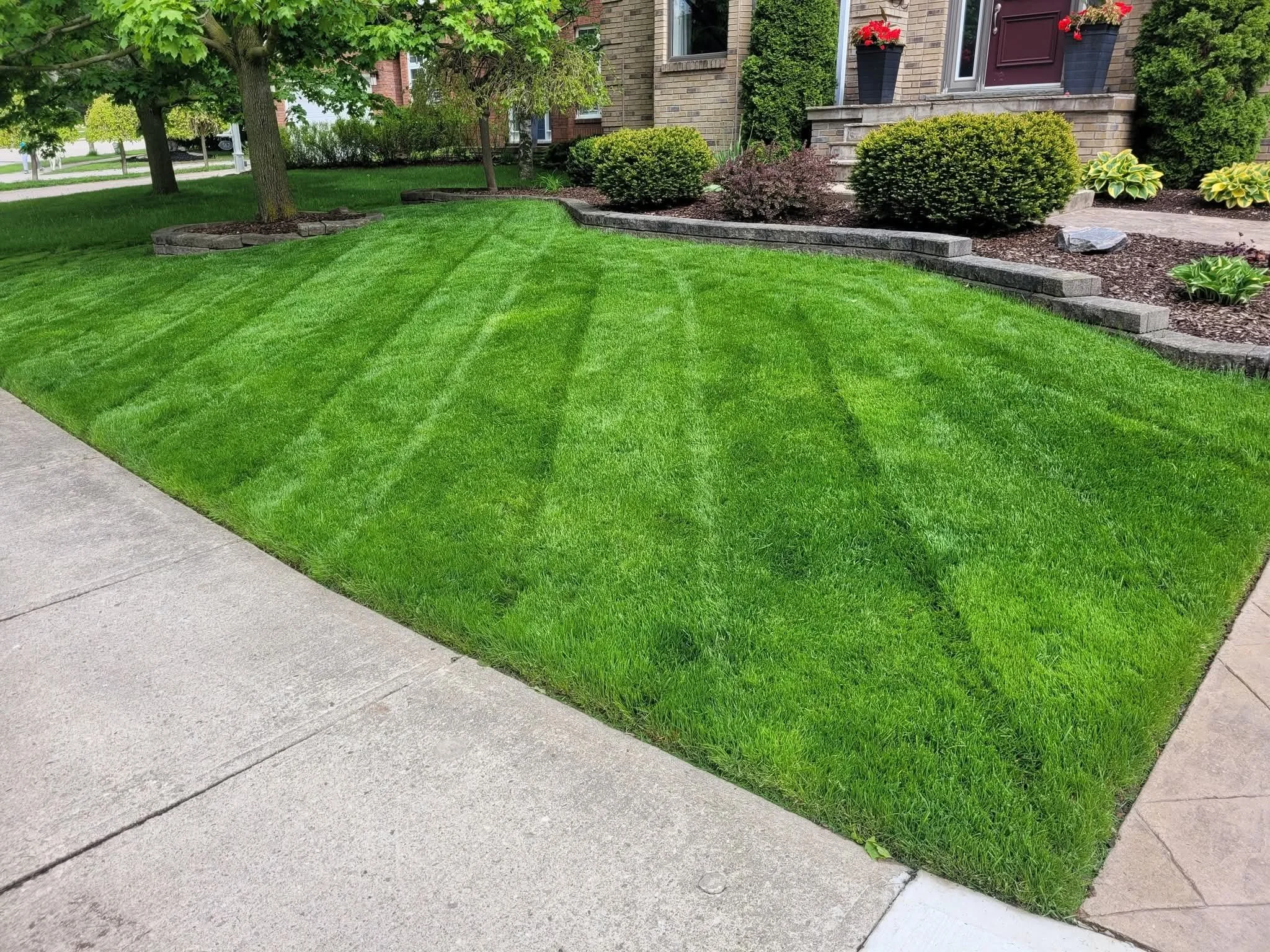 Lawn Mowing in Beechwood 