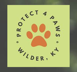 A large question mark with a small paw print underneath it on a white background.