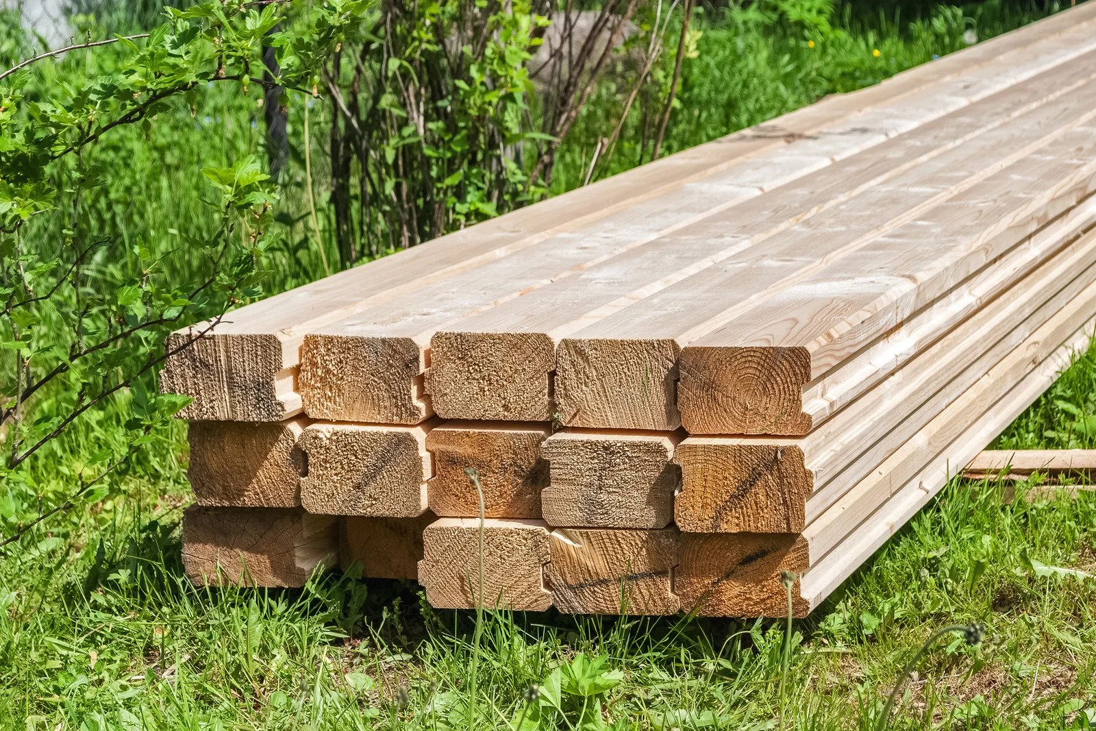 Timber Profiling