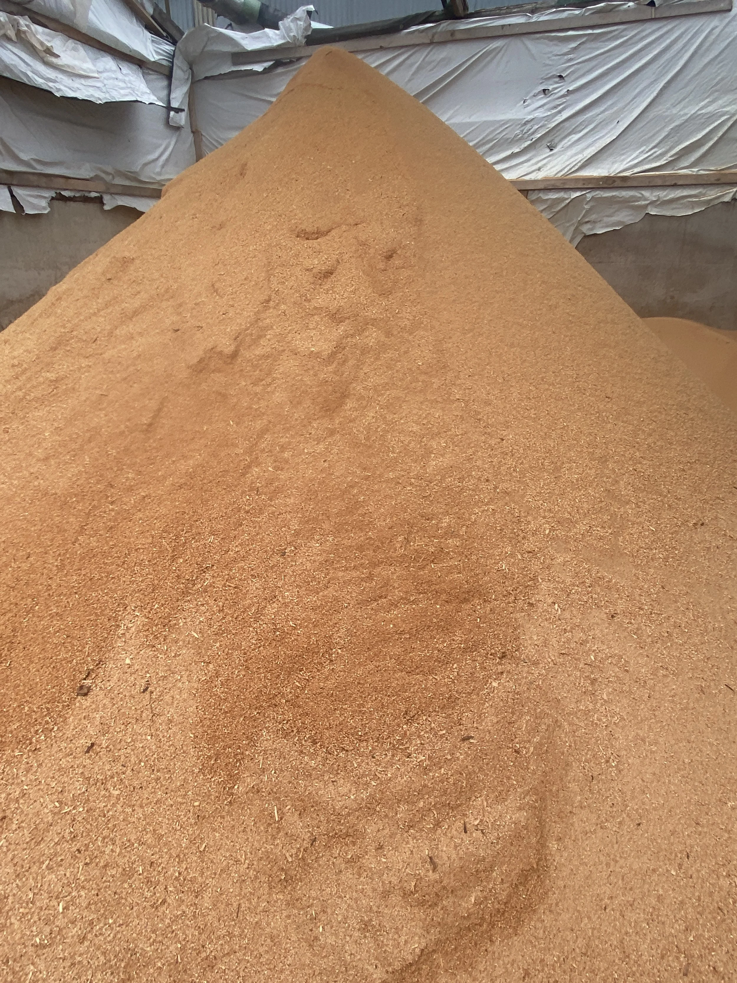 Sawdust