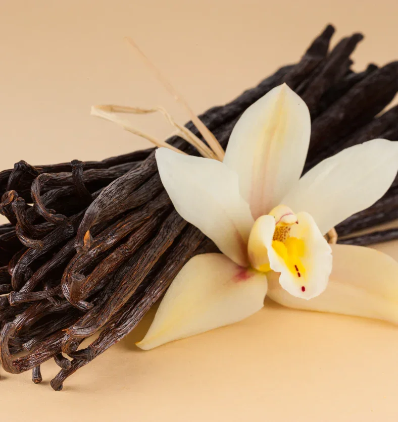 Creamy Vanilla