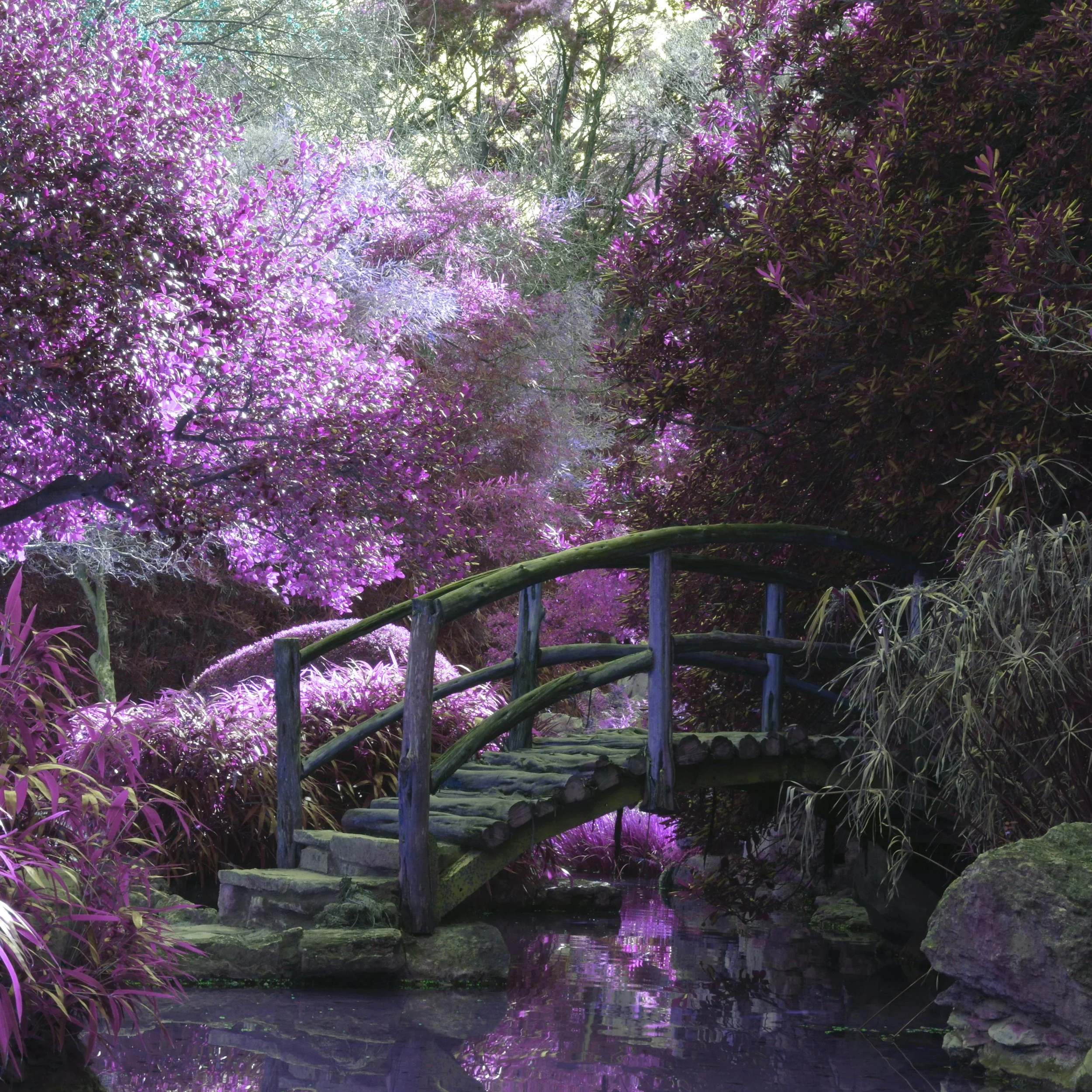 Zen Garden