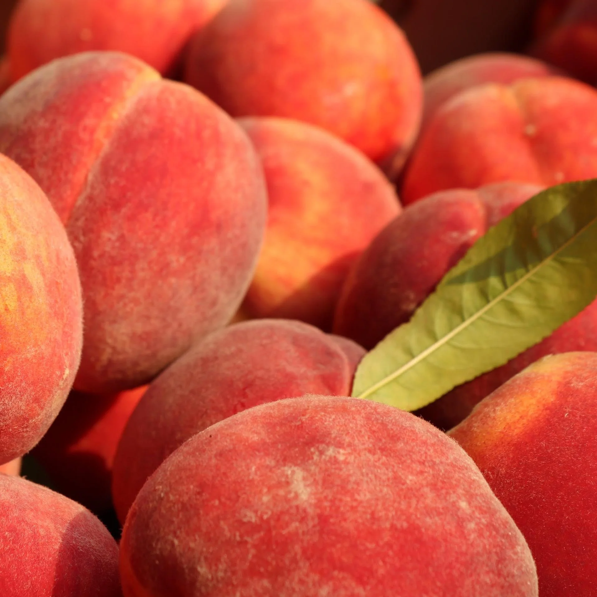 Juicy Peach