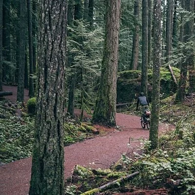 Cowichan trail