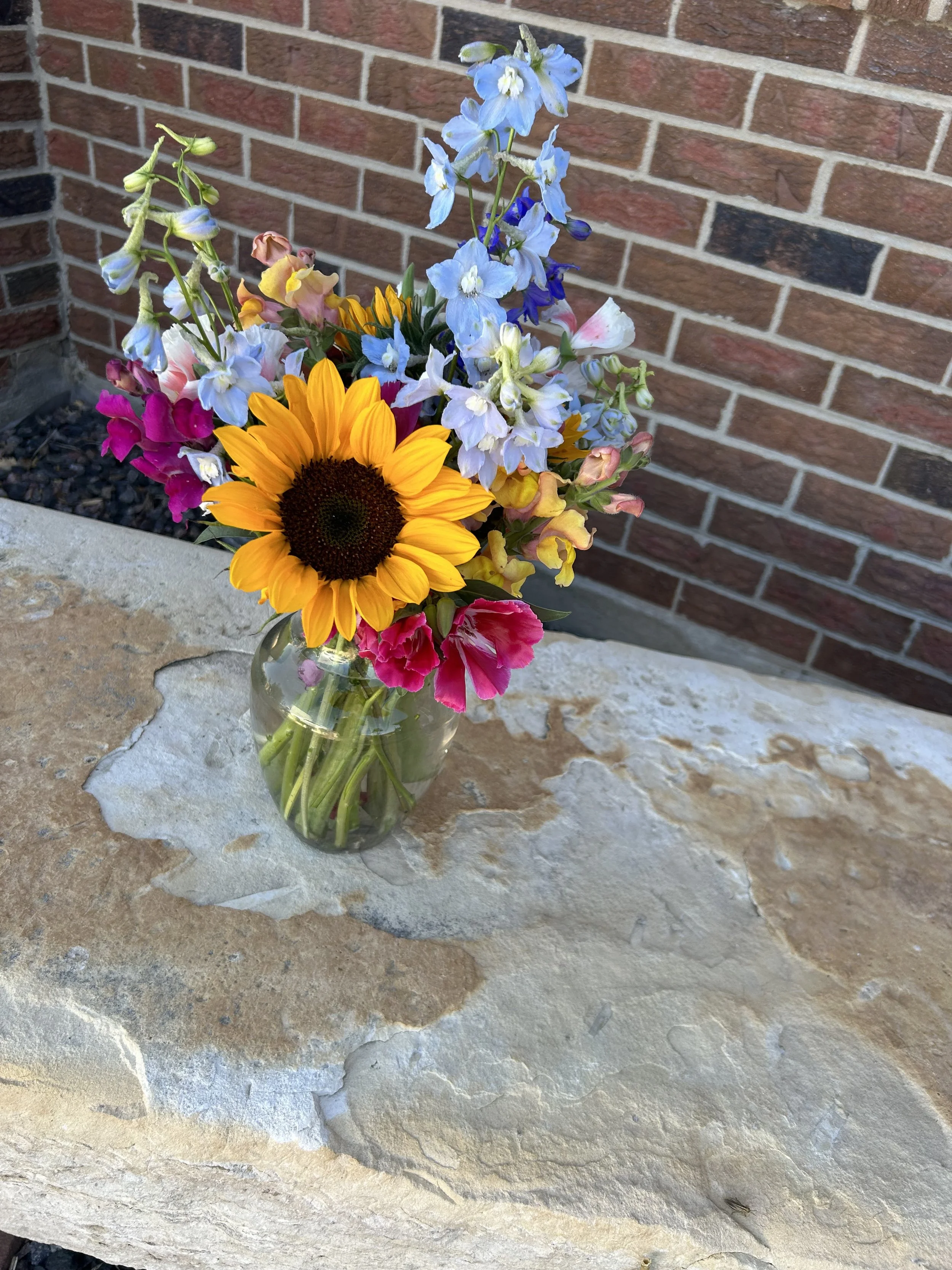 IMG_1619.jpeg