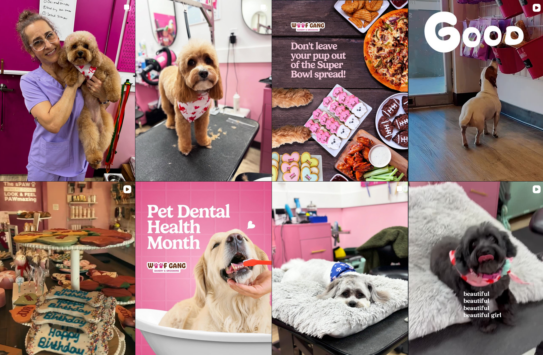 Woof Gang Bakery & Grooming Ads
