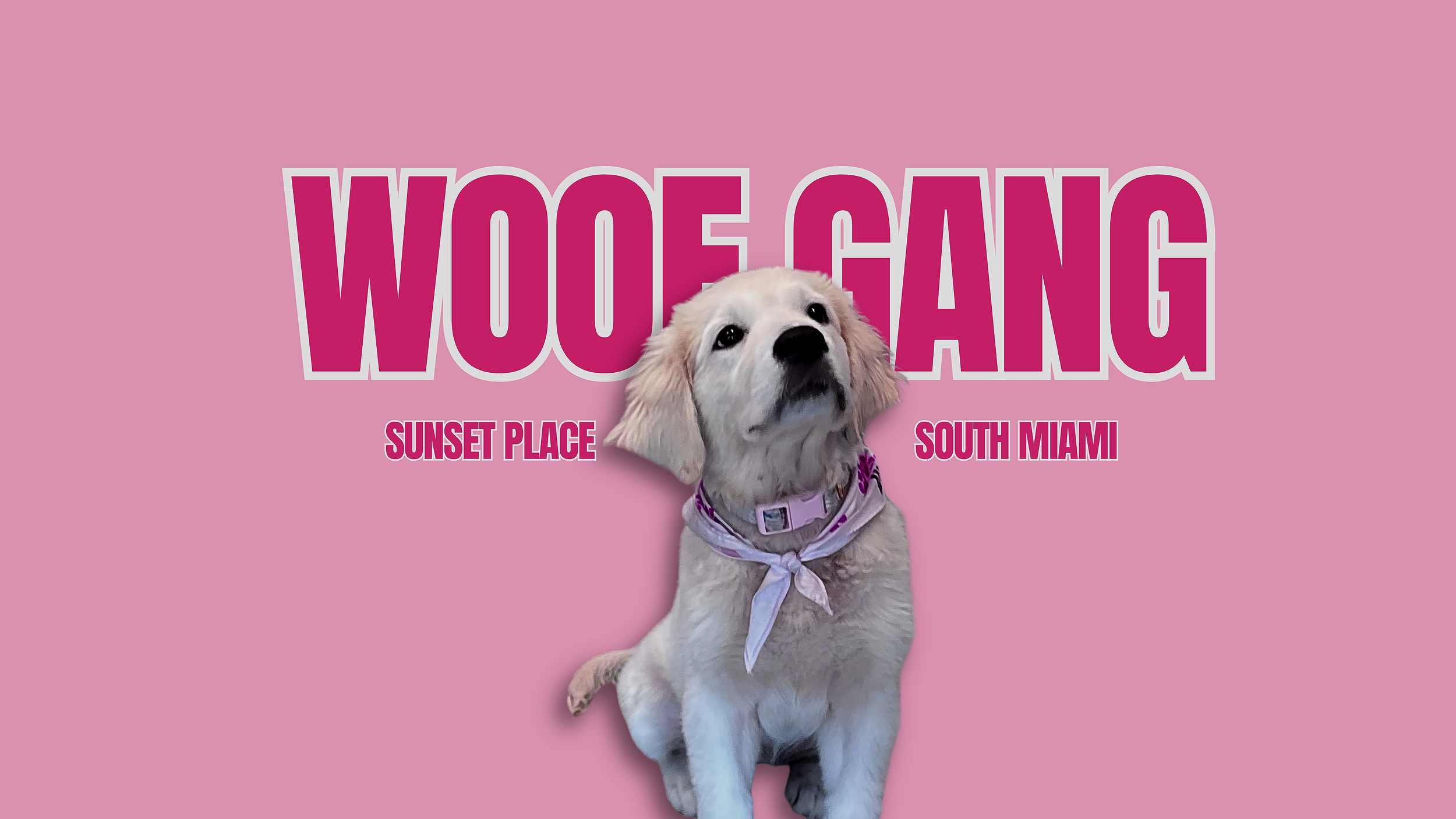 Woof Gang Bakery & Grooming Ads