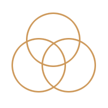 Combination Relevés Icon