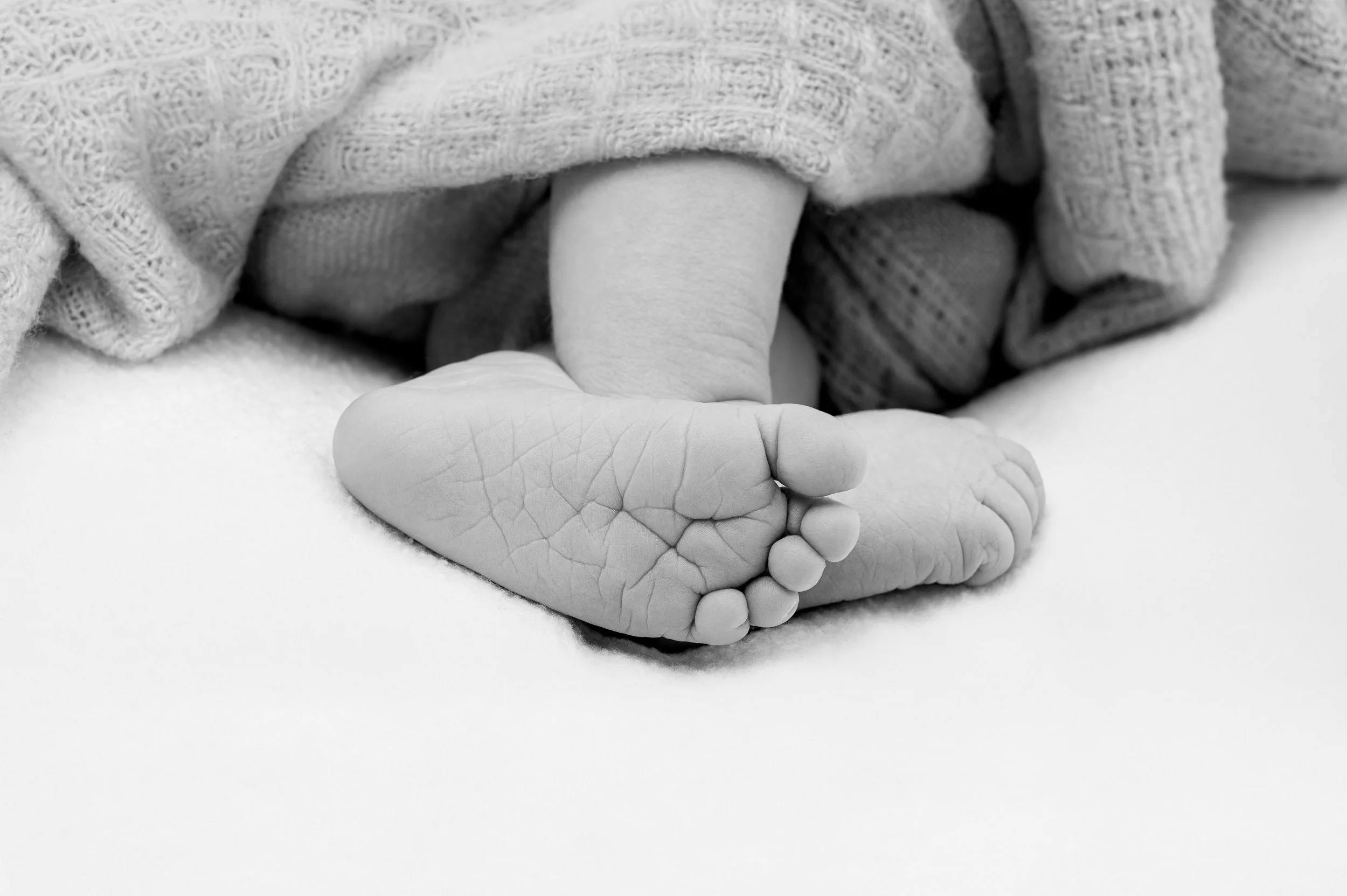 NZ6_1310 B&W Gratis.jpg