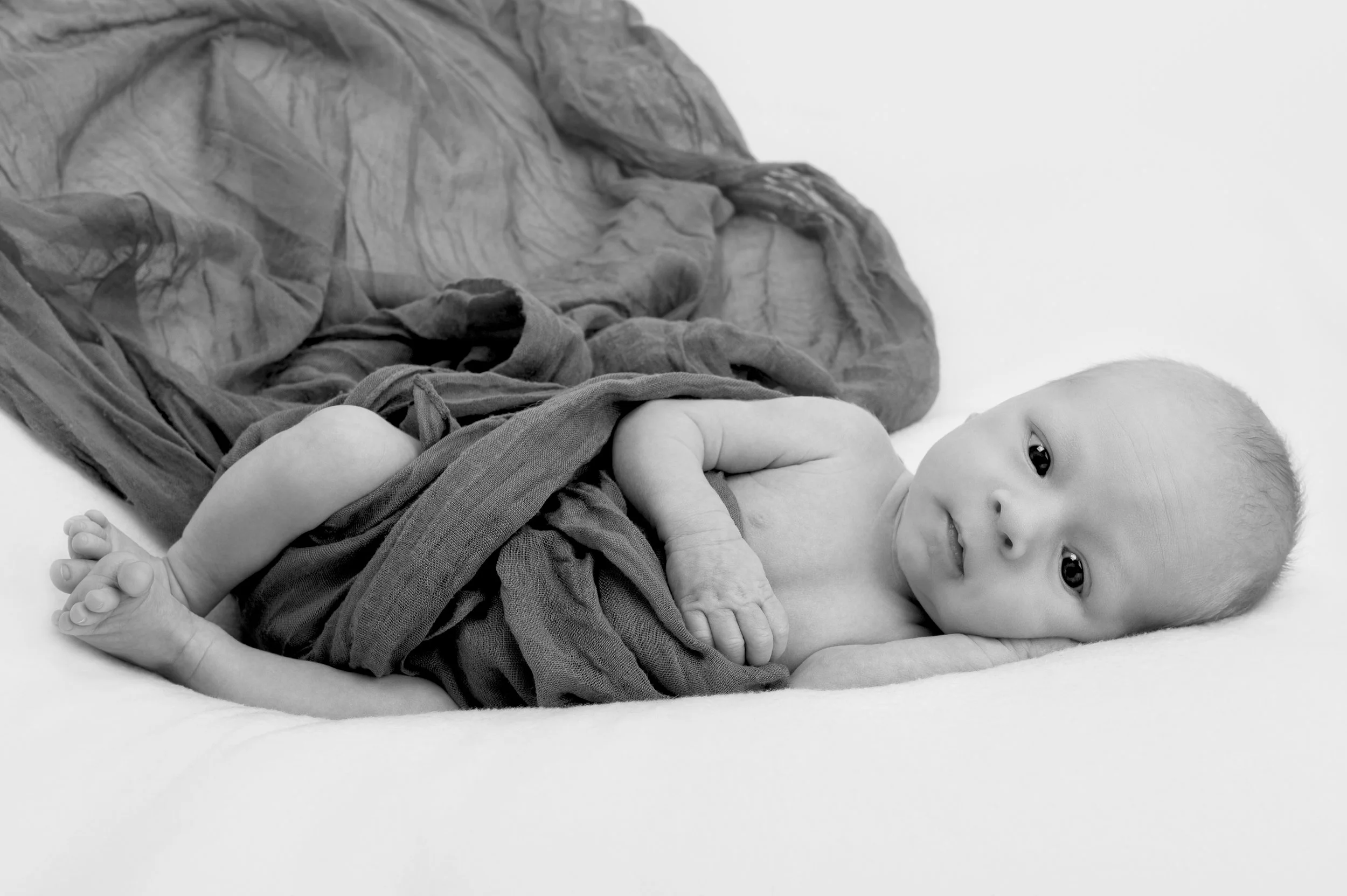 NZ6_6093-B&W Gratis.jpg