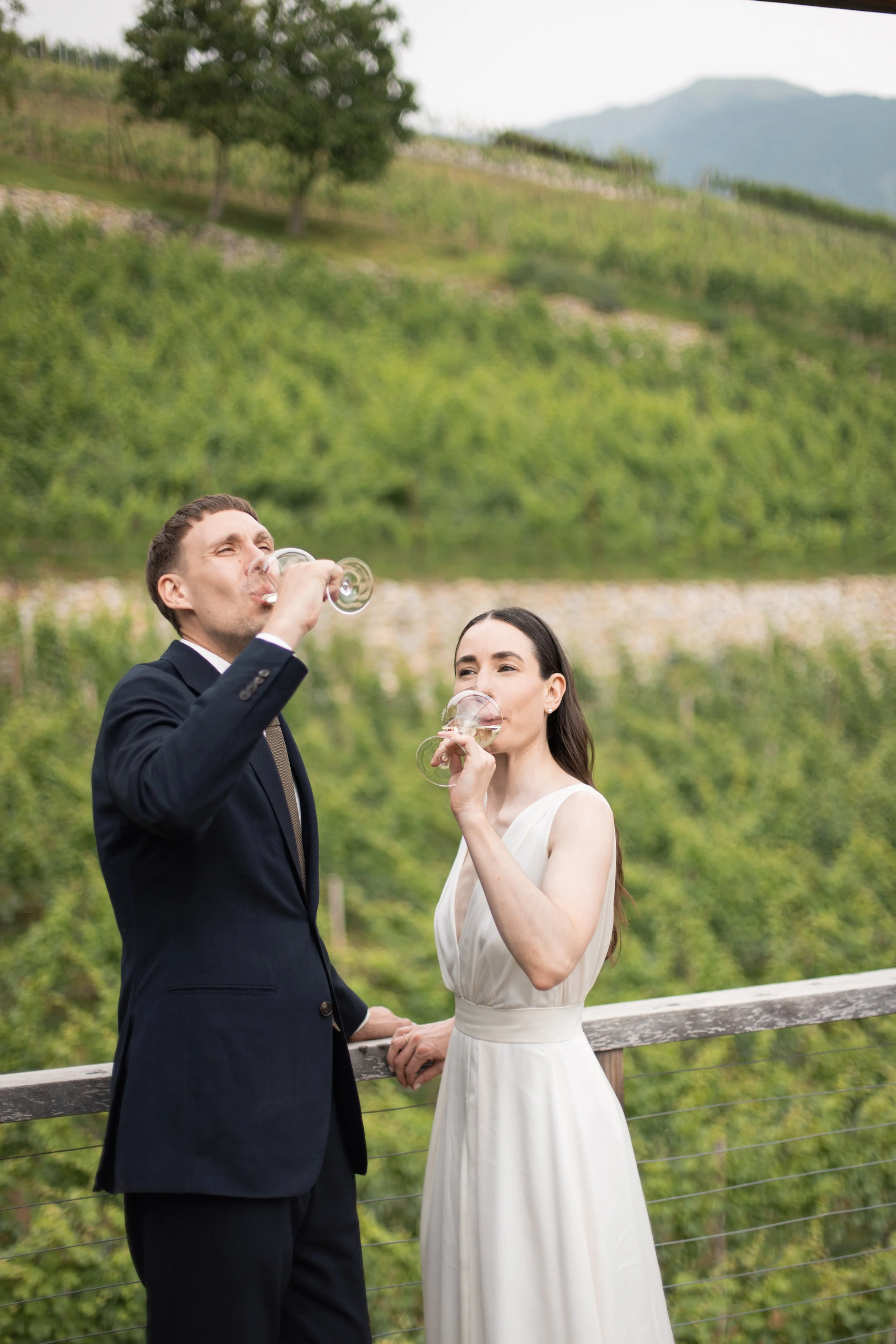 A man and a woman dressed in formal attire, holding glasses of wine, standing outdoors near a wooden railing with a vineyard and mountains in the background.