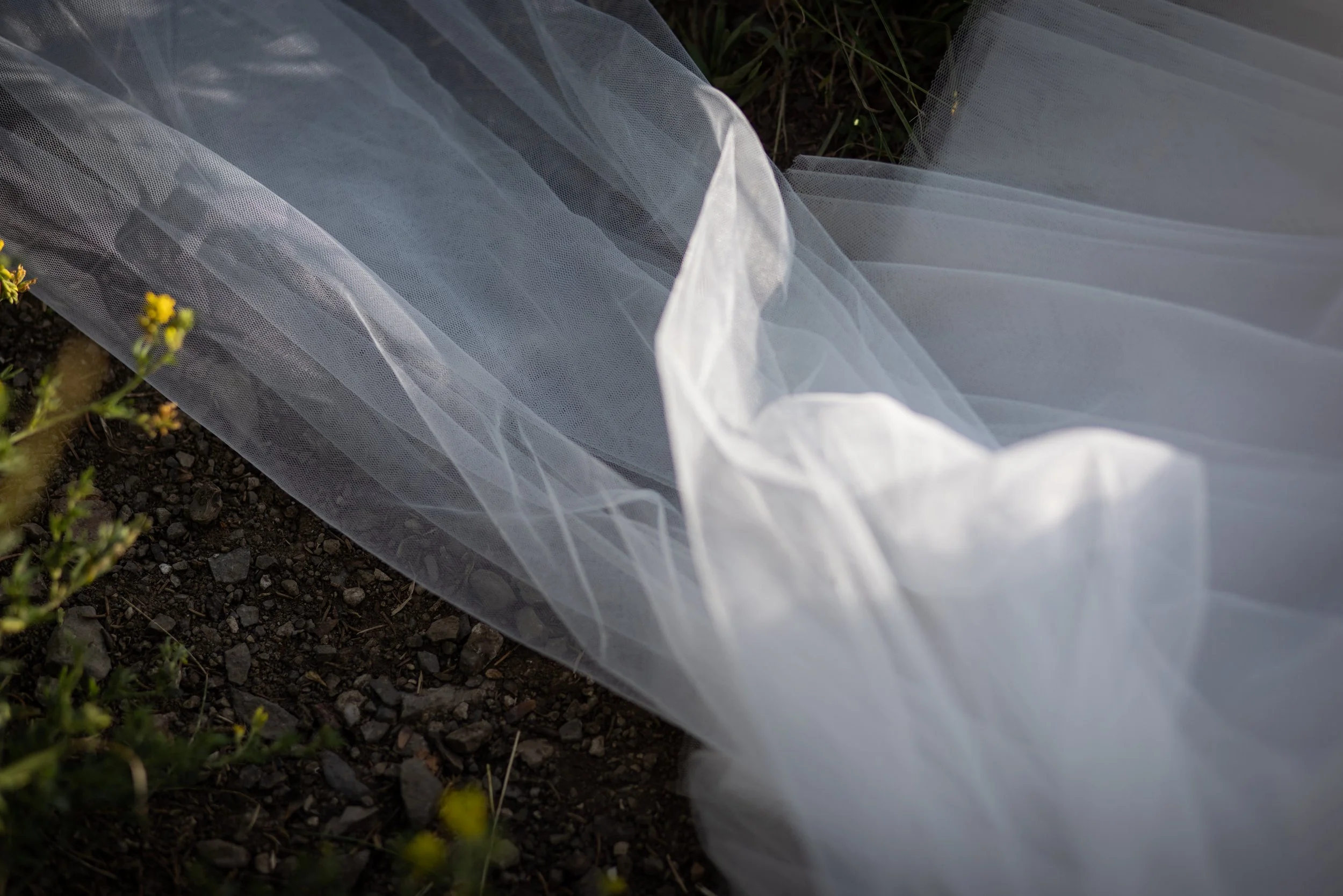 Anouk&Felix_25.07.23-298.jpg