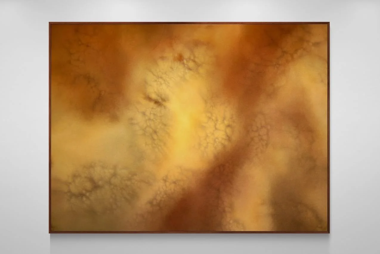 &ldquo;Last Light&rdquo; 
Acrylic on raw canvas 
40x30 inches