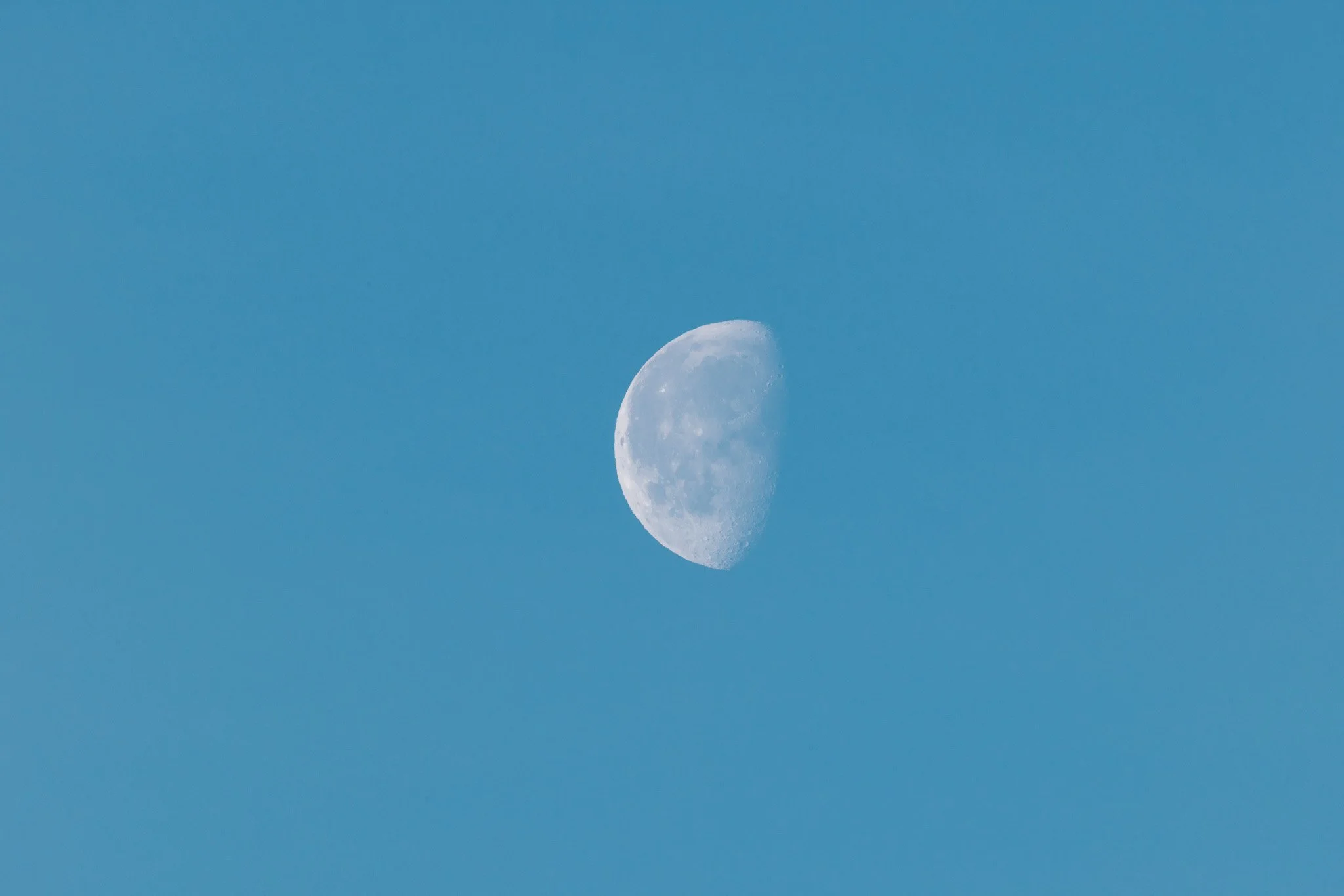 MASSIK_8P8A0163.jpg