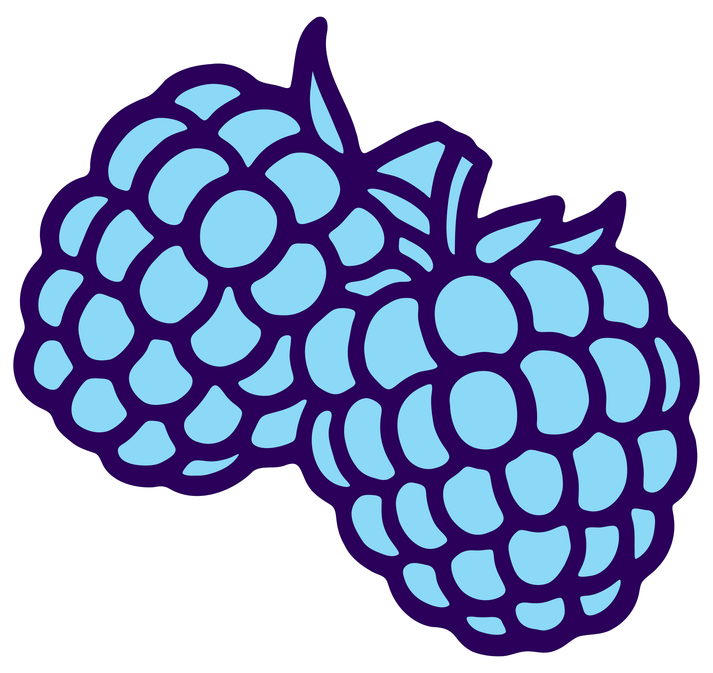 Illustration of a purple and light blue raspberry.