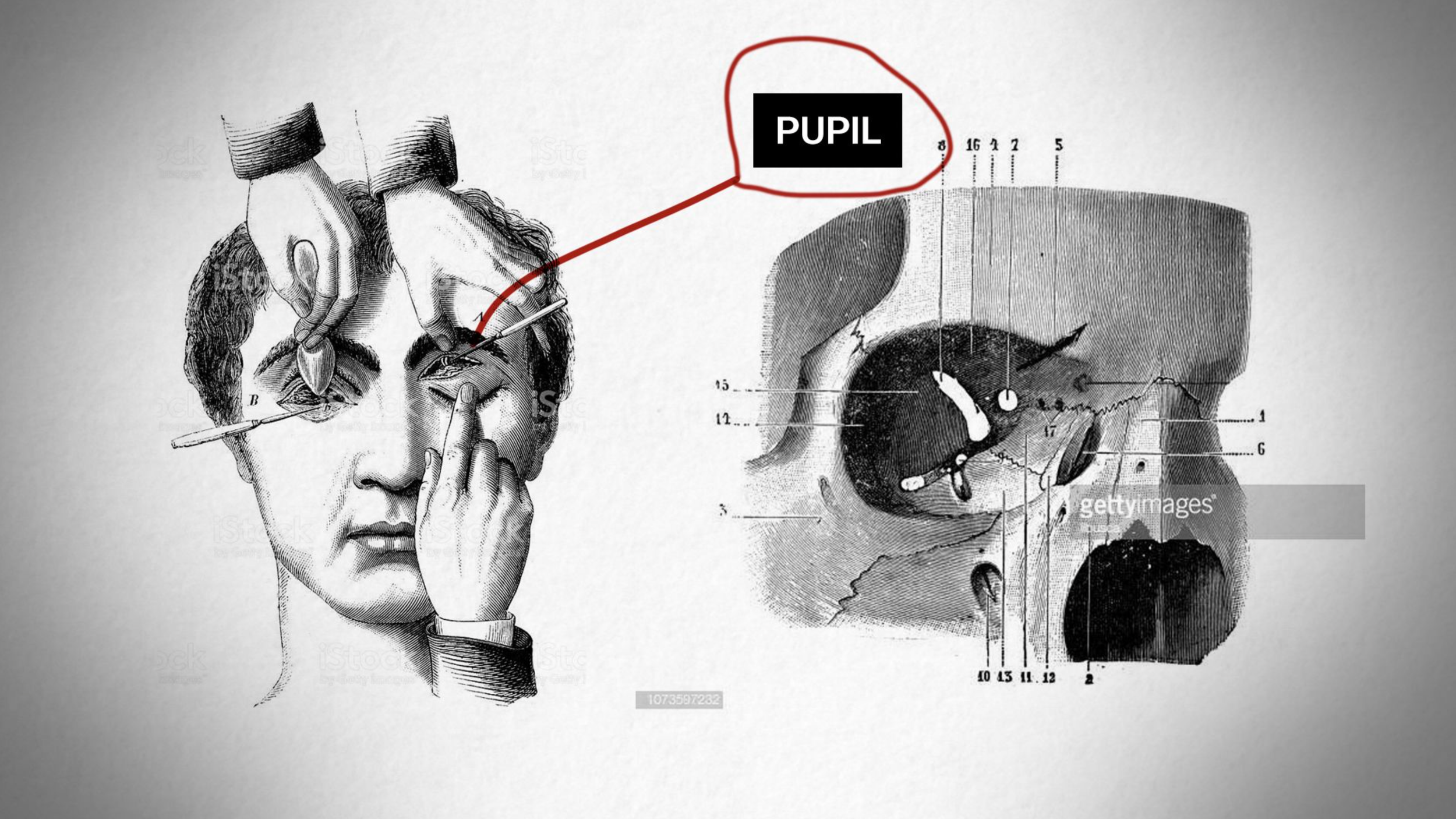 Screen Shot 2023-03-14 at 11.23.46 PM.png