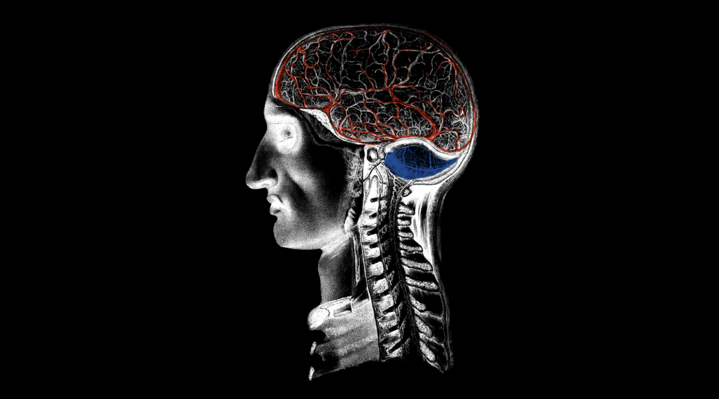 Screen Shot 2023-03-14 at 11.19.32 PM.png