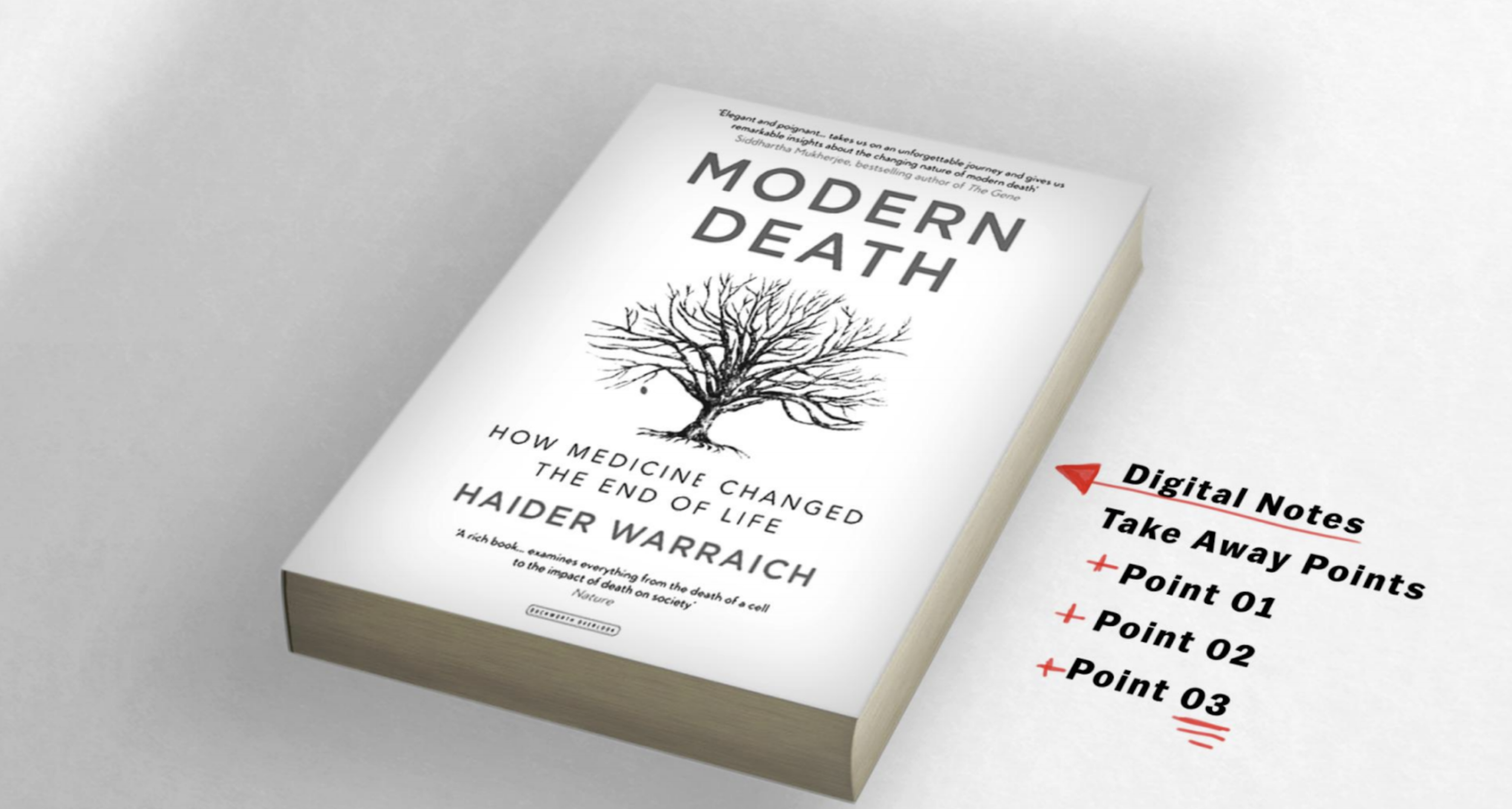 Screen Shot 2023-03-14 at 11.19.48 PM.png