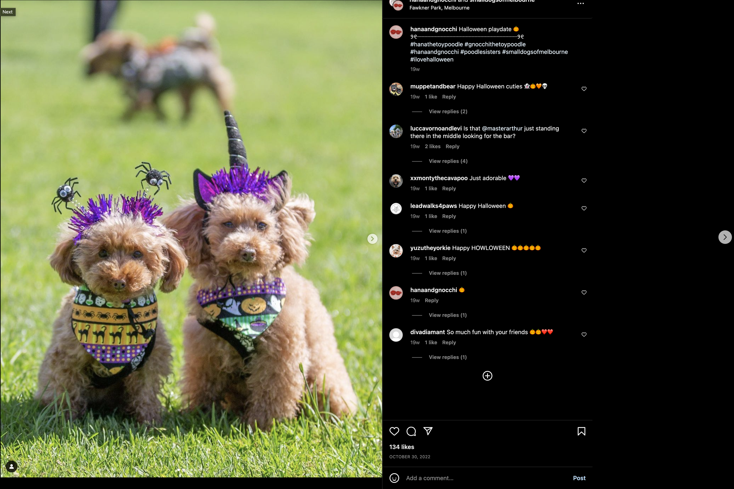 Screen Shot 2023-03-17 at 10.37.06 AM.png