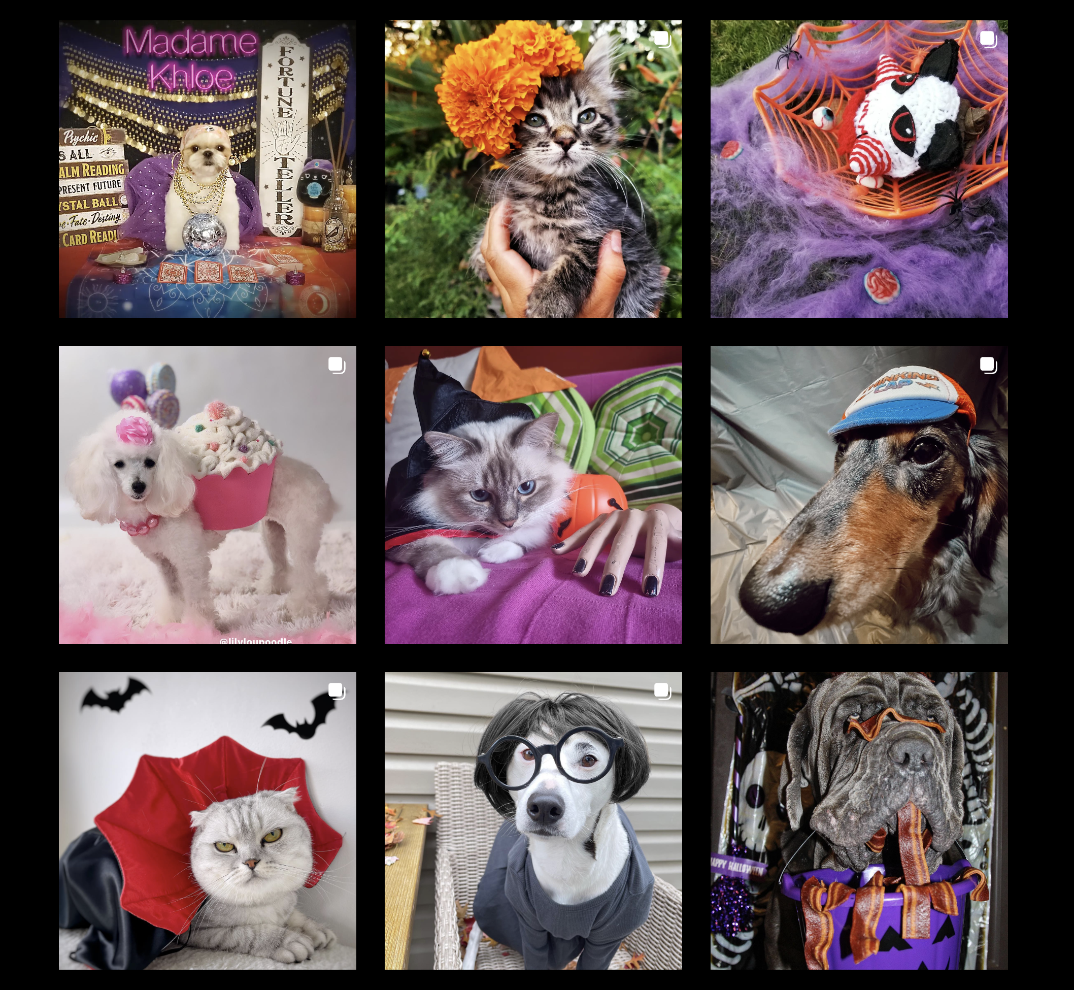 Screen Shot 2023-03-17 at 10.36.41 AM.png