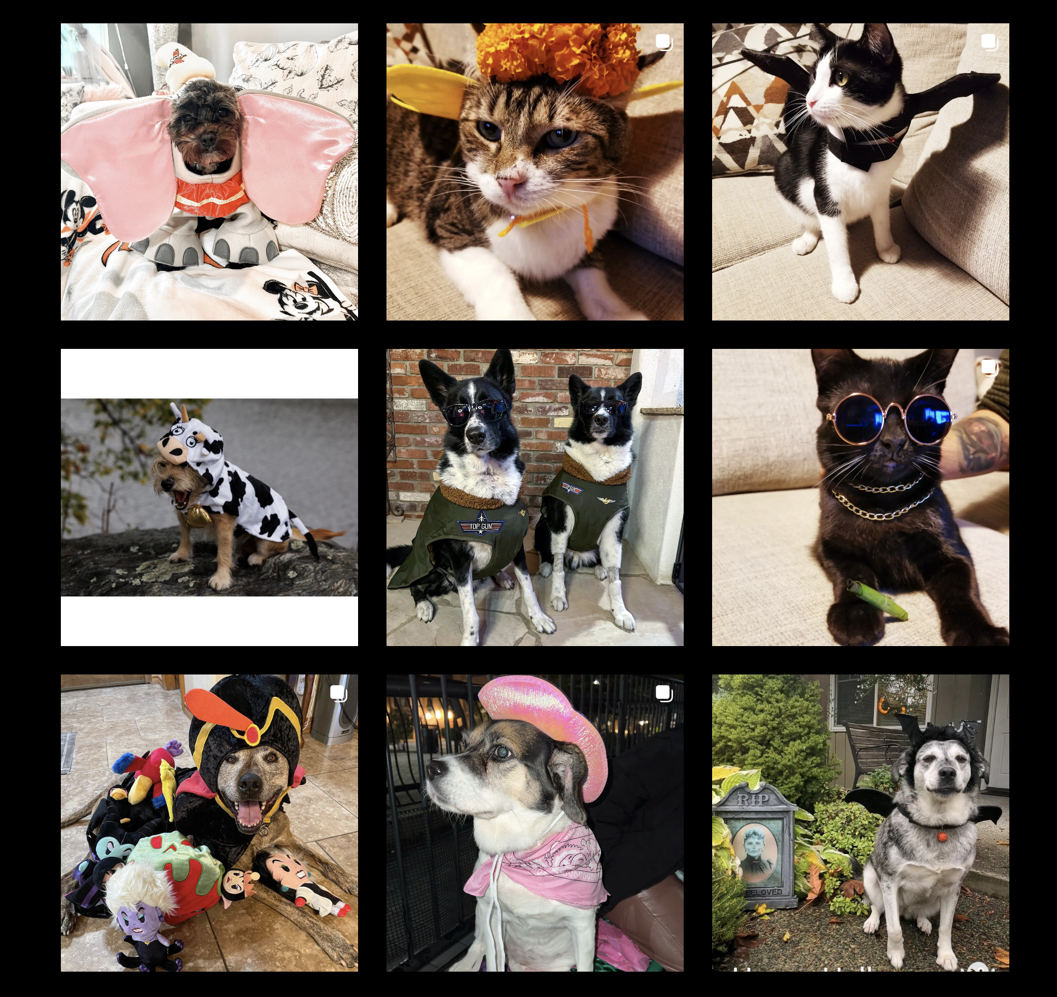 Screen Shot 2023-03-17 at 10.36.27 AM.png