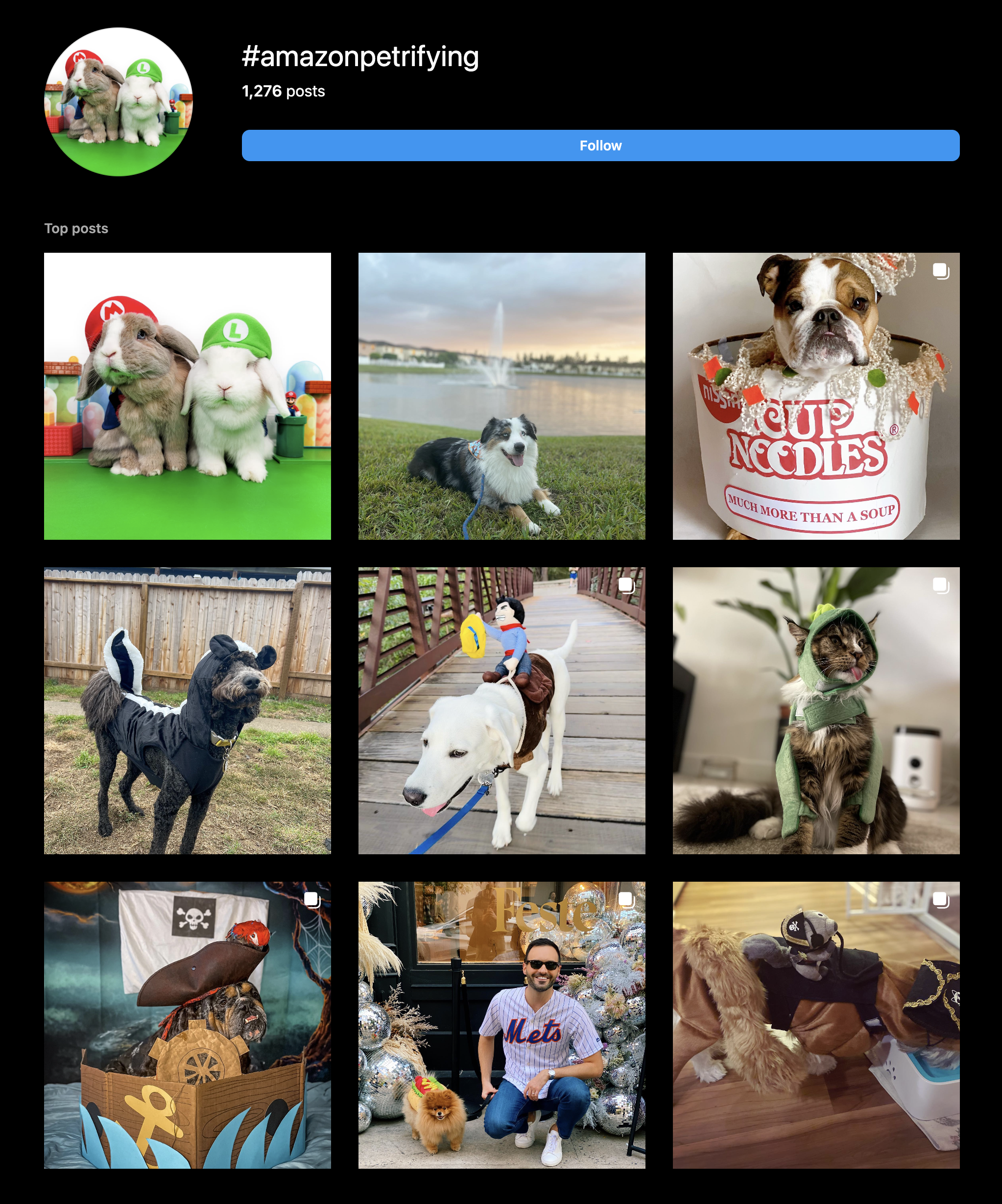 Screen Shot 2023-03-17 at 10.35.43 AM.png