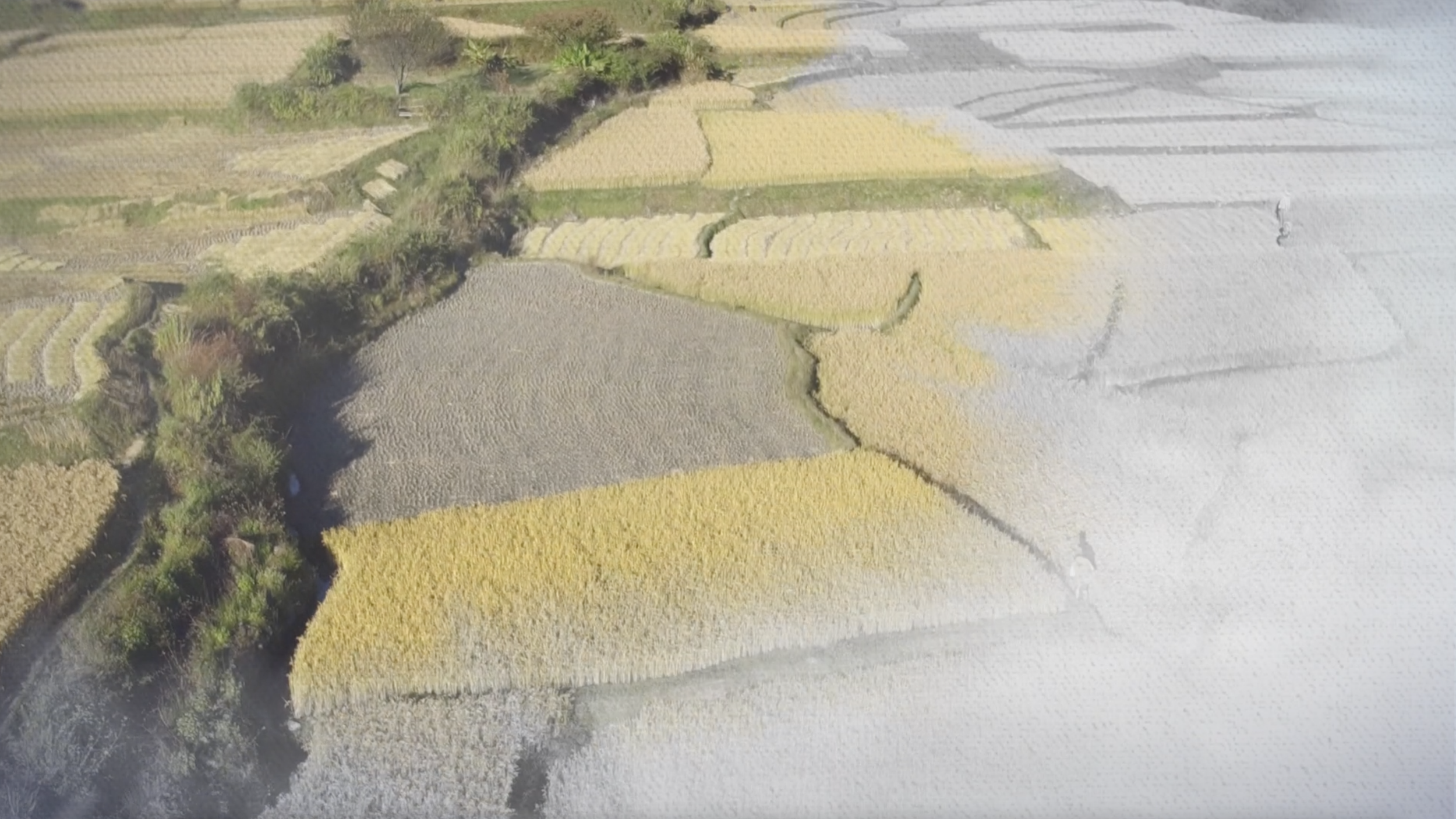 Screen Shot 2023-03-15 at 10.08.39 PM.png