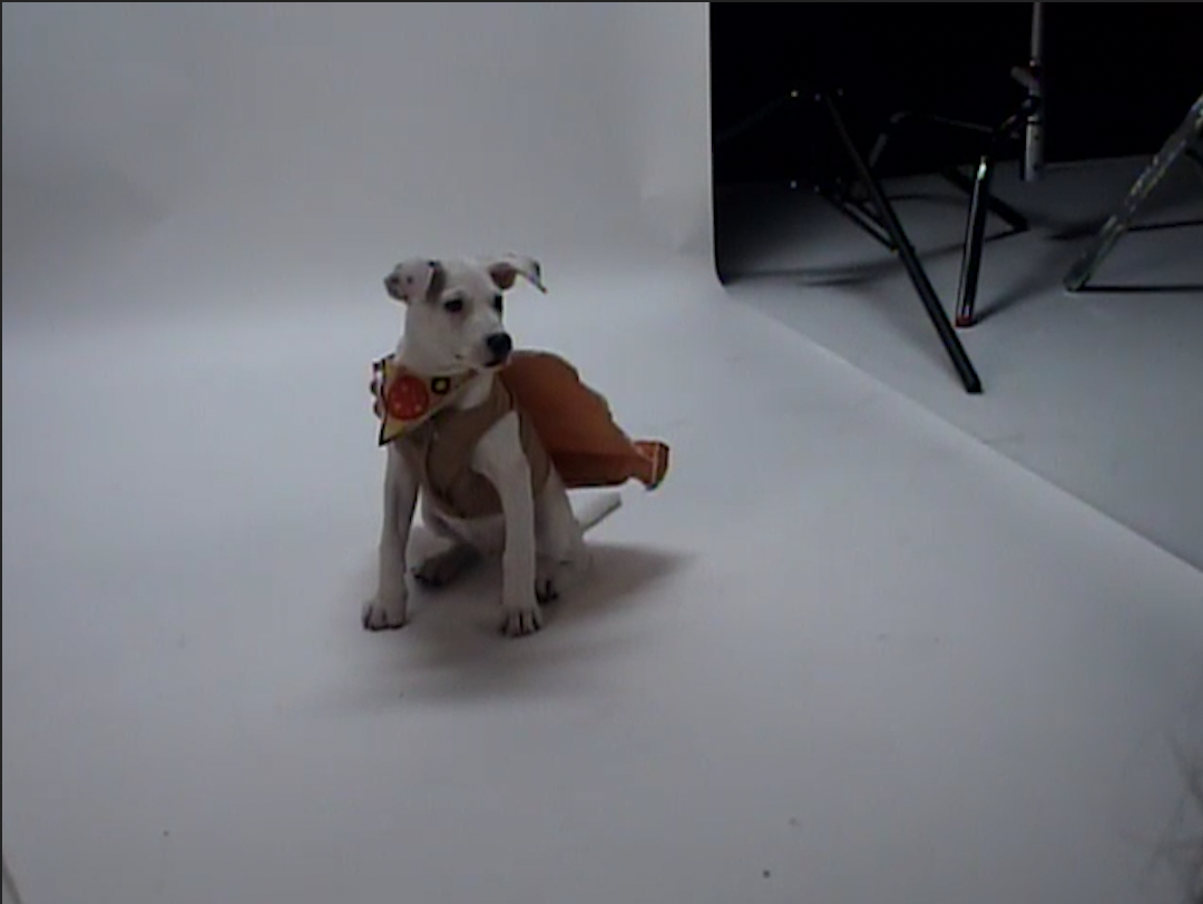 Screen Shot 2022-09-30 at 9.53.00 AM.png