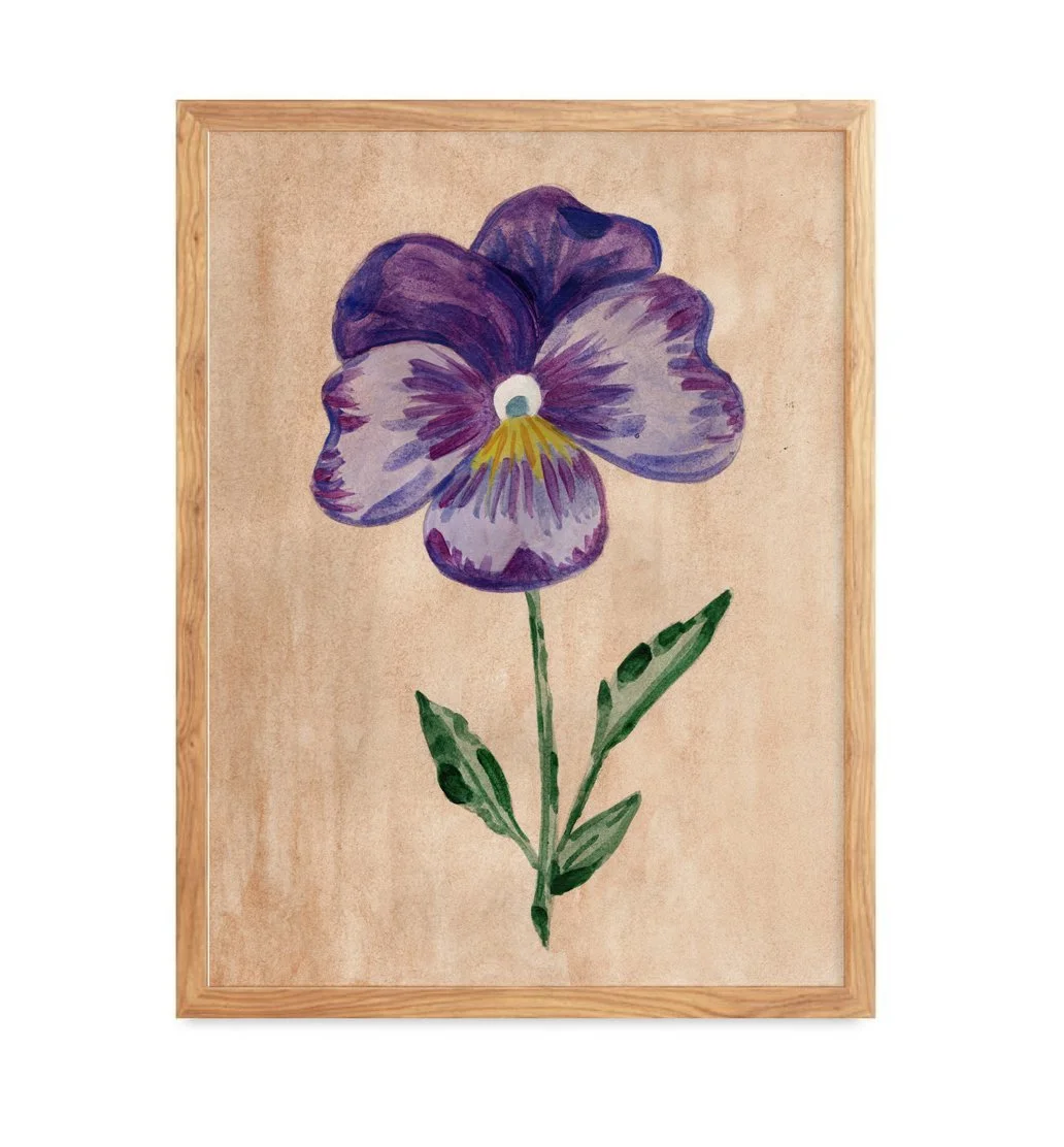 Purple Pansy hand-painted flower on warm ground art print by Leïla Dubus