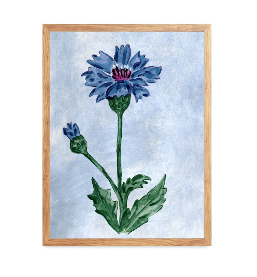 Cornflower hand-painted blue floral art print by Leïla Dubus