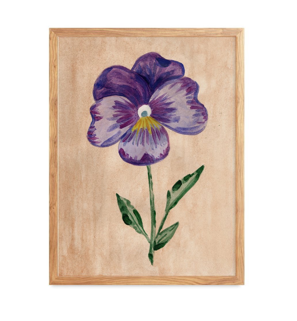 Purple Pansy Print