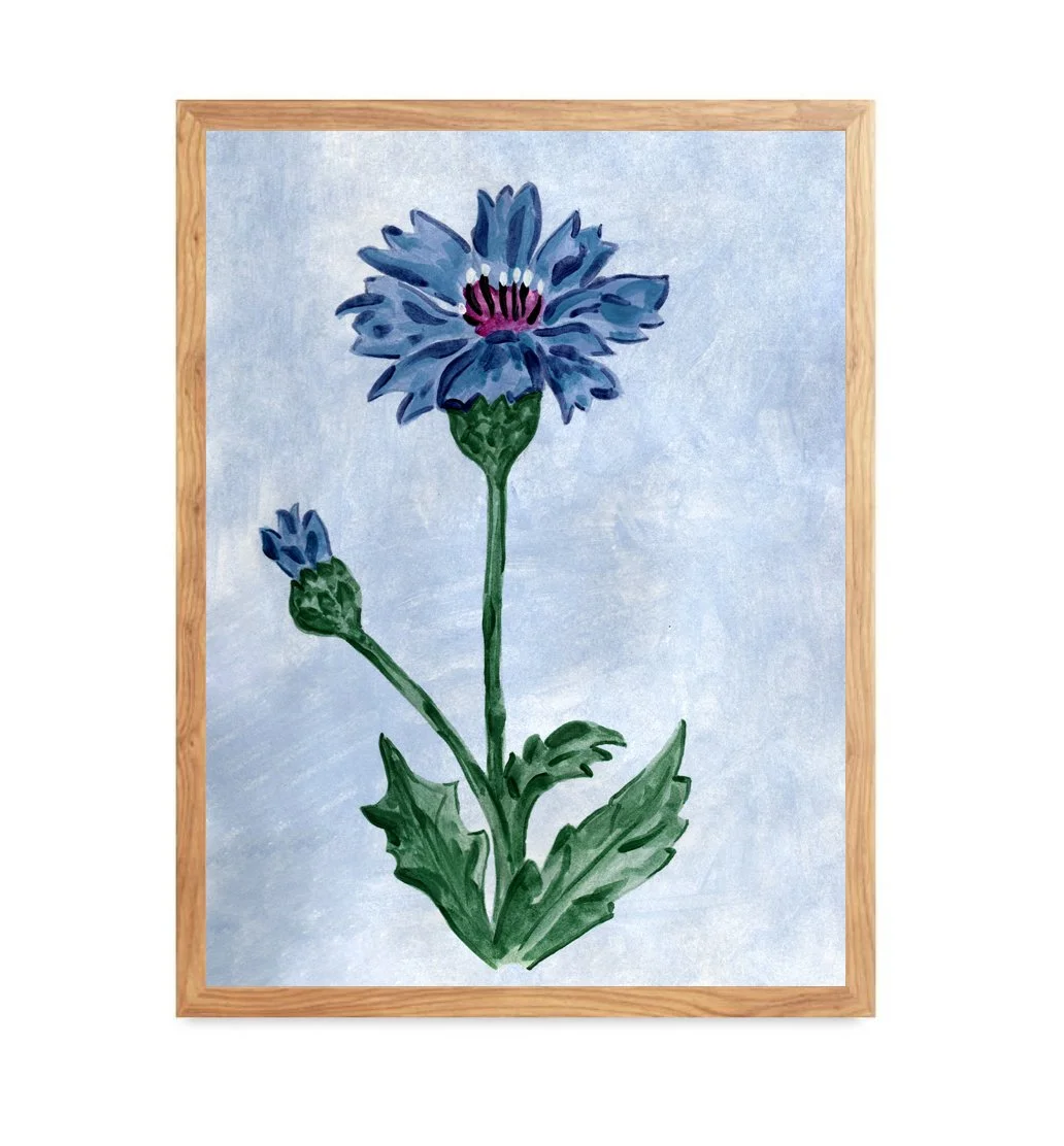 Cornflower Print