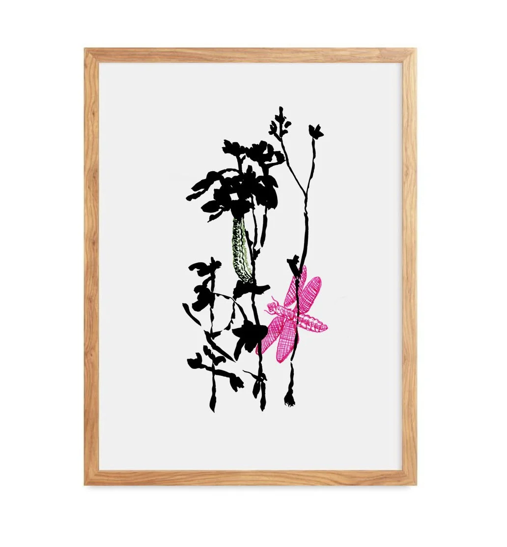 Dragonfly black ink illustration with color art print by Leïla Dubus