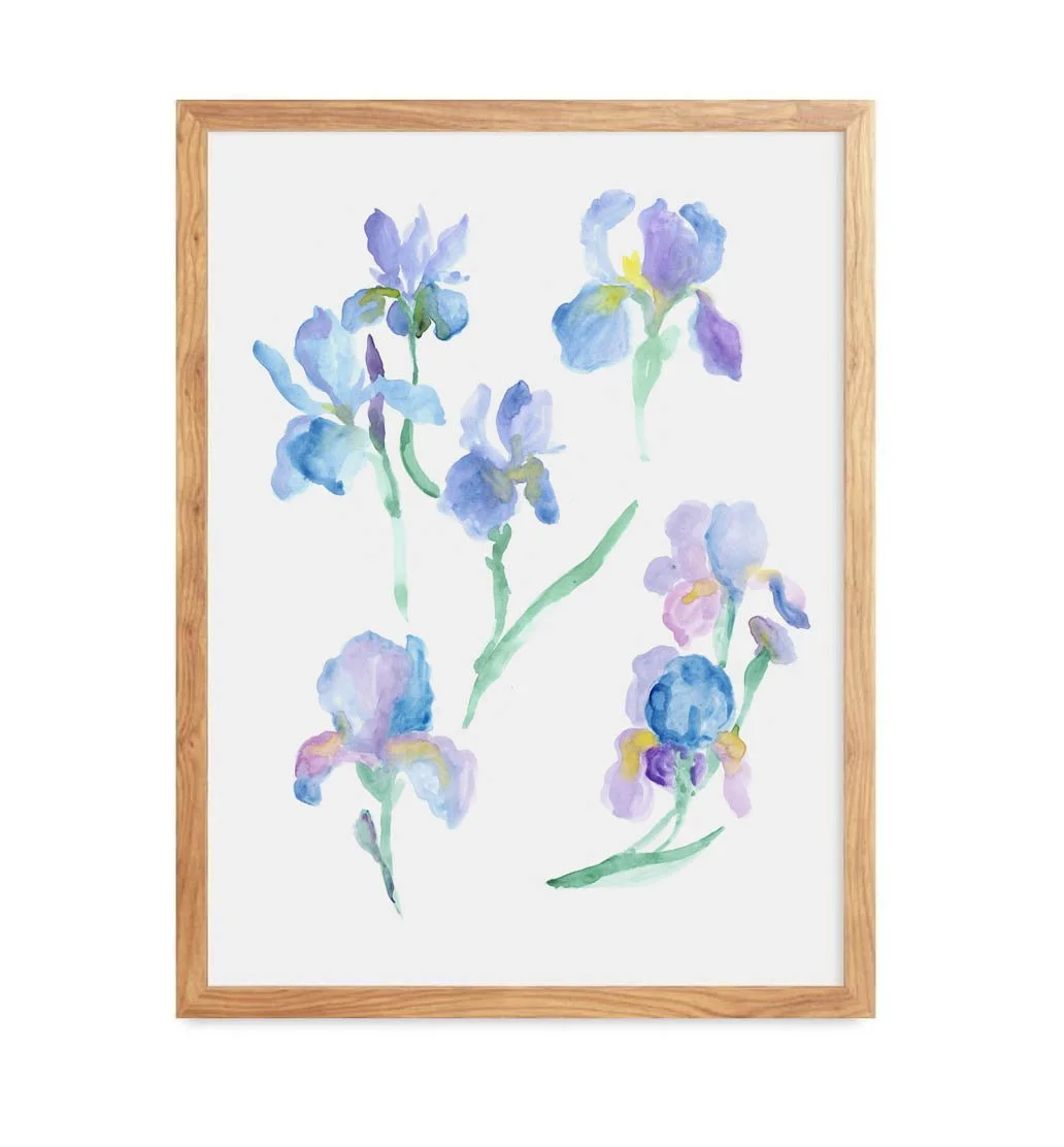 Irises Print