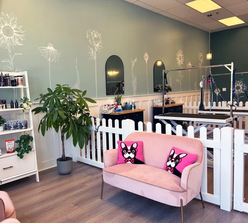 Posh Paws Pet Spa, business photo 4
