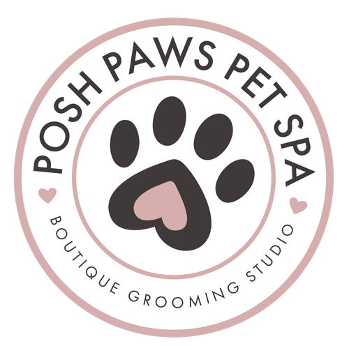 Posh Paws Pet Spa, business photo 5