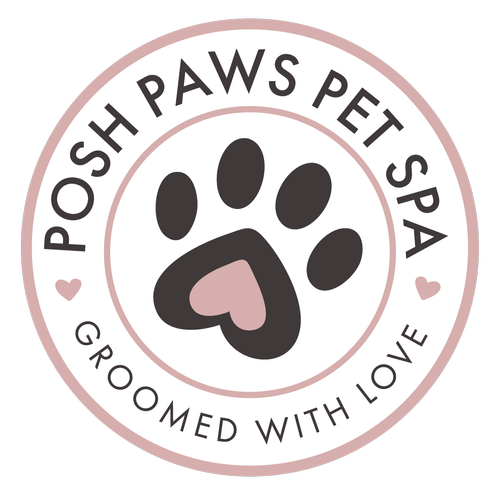 Posh Paws Pet Spa, business photo 2