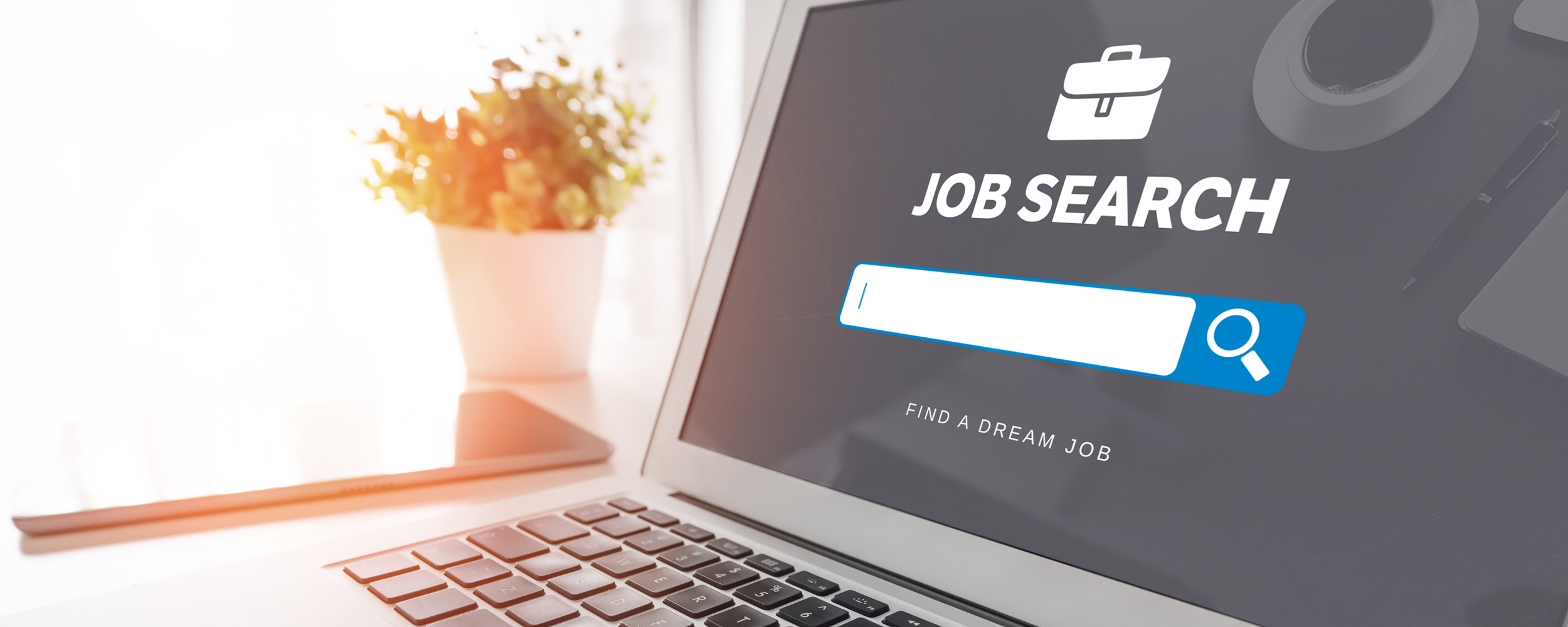 How to Stay Consistent in Your Job Search (Without Burning Out)