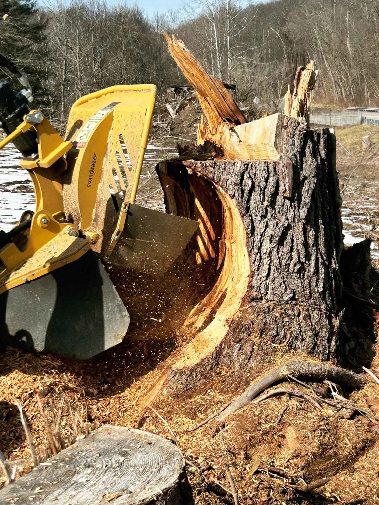Operator grinding tree roots during stump removal service.