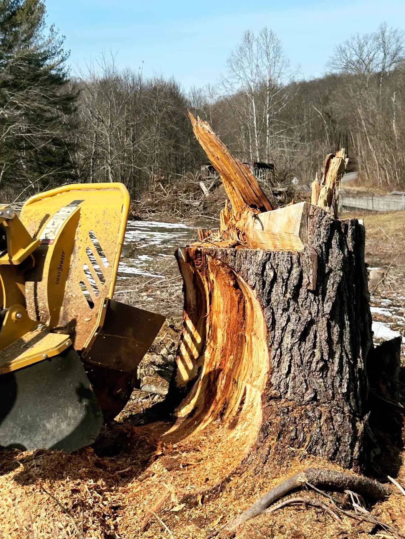 Commercial stump grinding equipment positioned over tree stump.