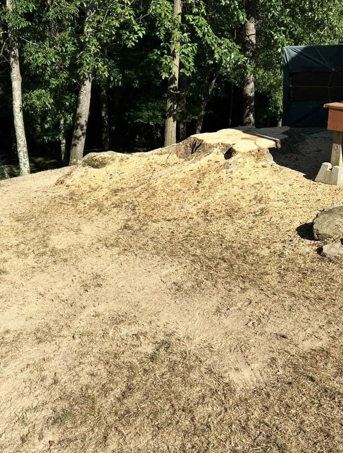 Site clearing and stump grinding service near Waynesburg Pennsylvania