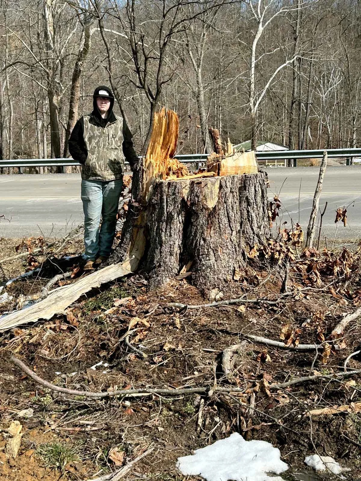 Team member standing next to large tree stump in backyard before stump grinding removal.