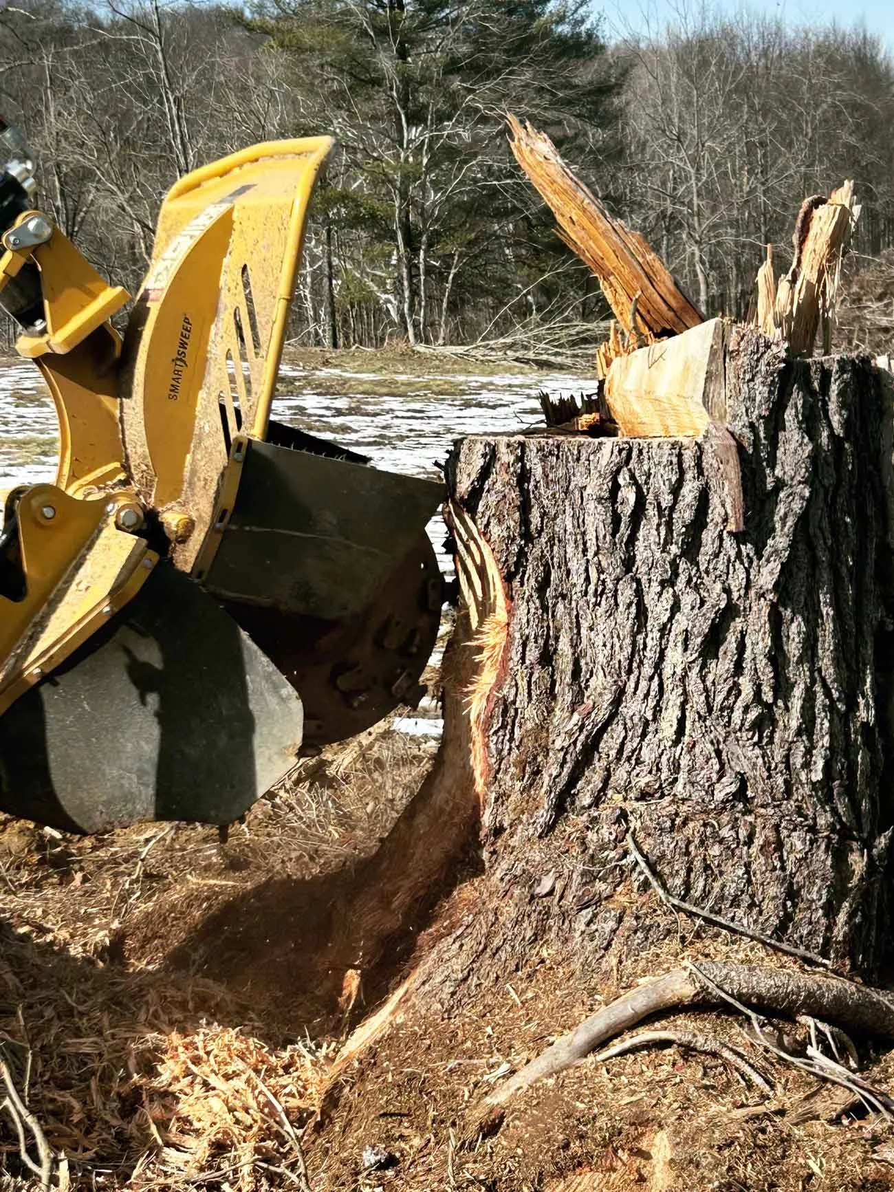 Stump grinding machine removing large tree stump in residential yard.