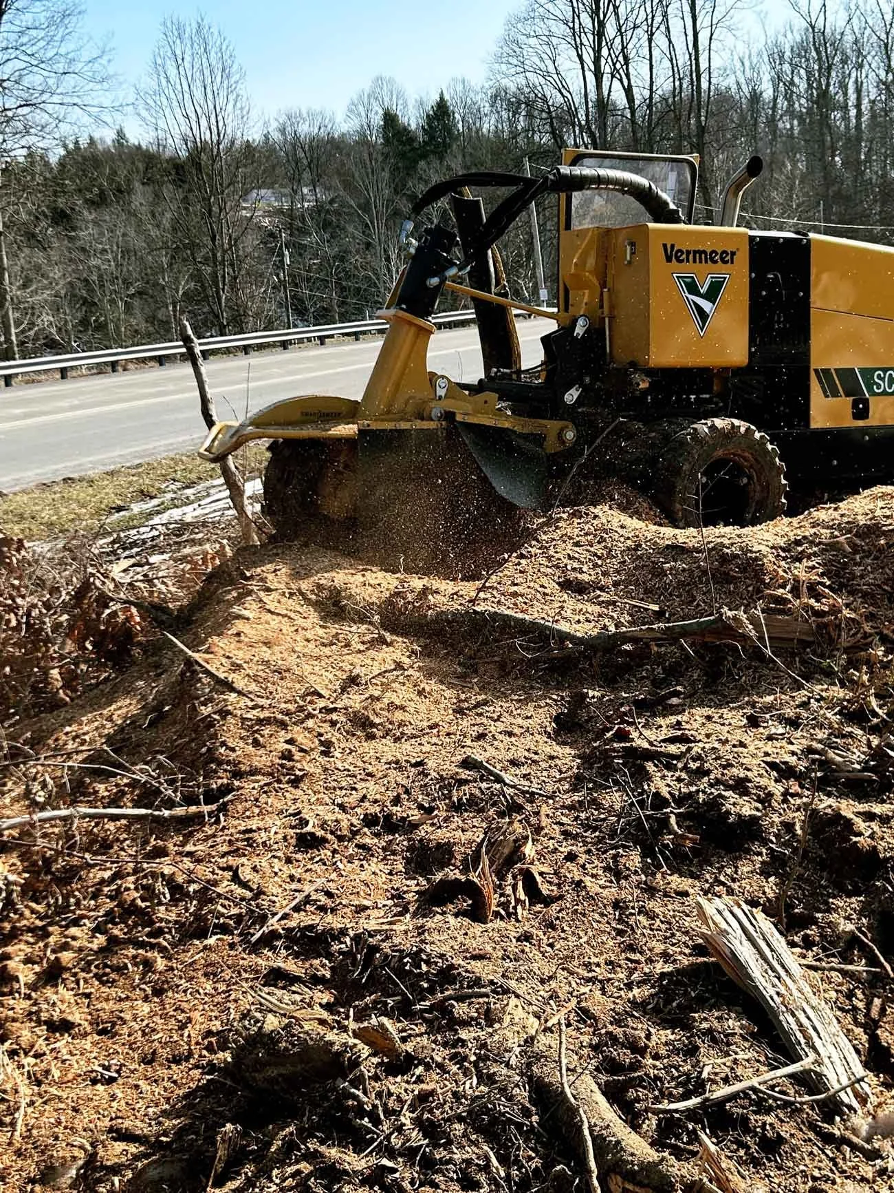 Cleared yard area after stump grinding and debris removal.