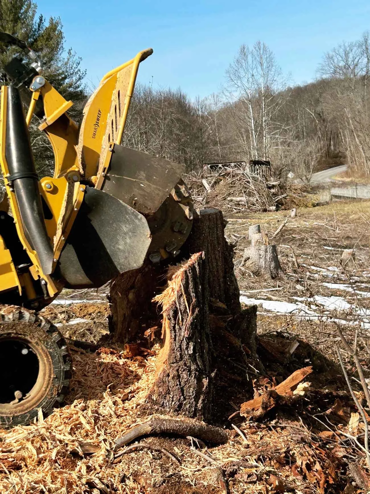 Operator grinding tree roots during stump removal service.
