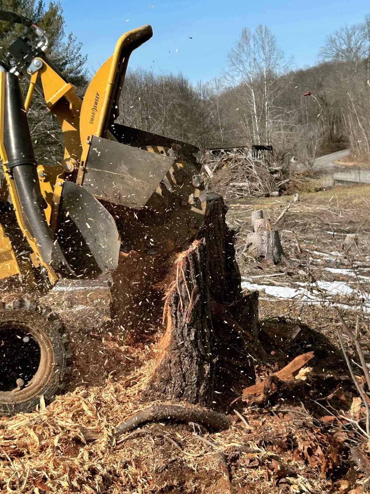 Commercial stump grinder removing tree stump in Washington Pennsylvania