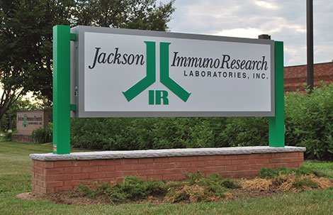 Sign for Jackson ImmunoResearch Laboratories, Inc., featuring the company's logo and name, situated outdoors on a brick base with grass and trees nearby.