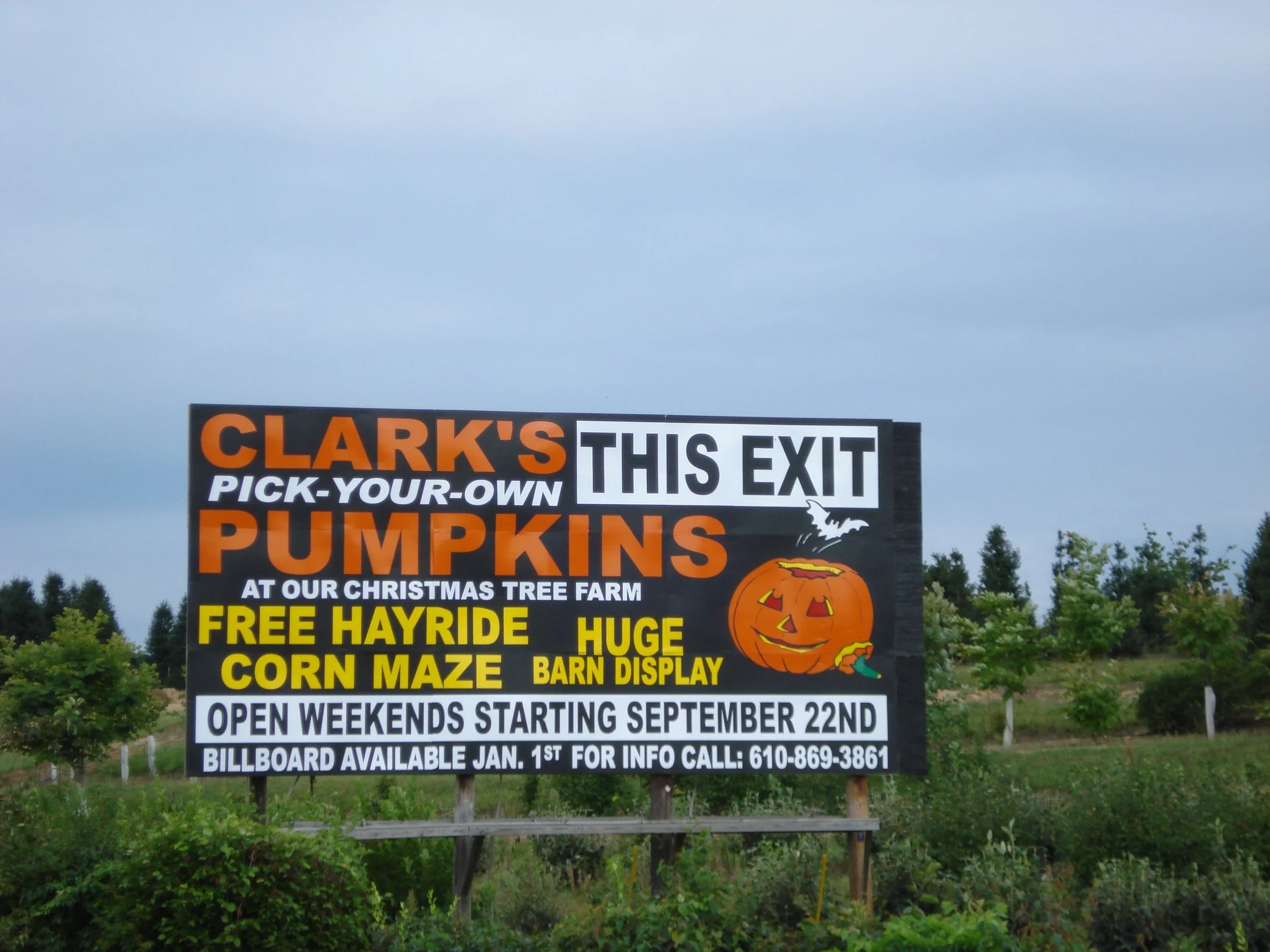 A large billboard advertising pumpkin sales and fall activities at a Christmas tree farm, with a carved pumpkin face graphic.