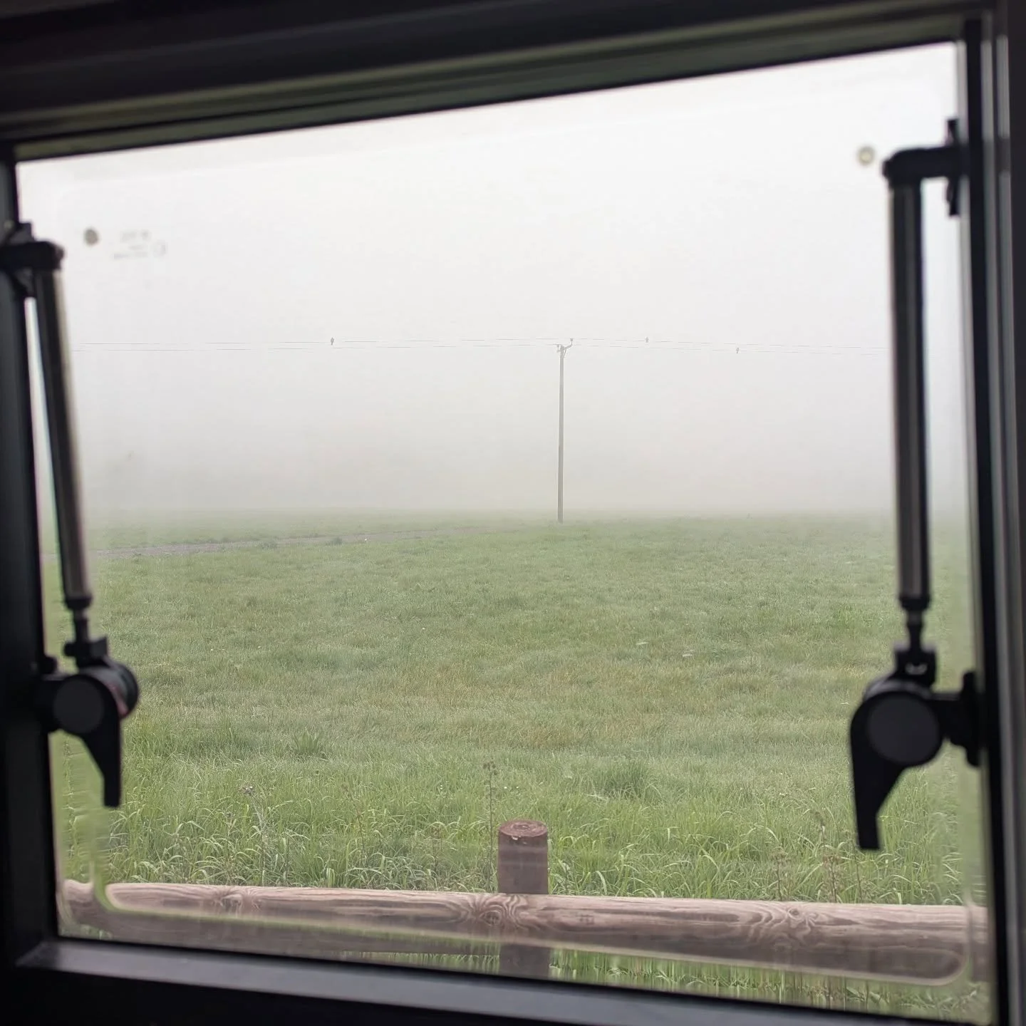 Today's view from the square window is somewhat less inspiring. It looks like autumn out there rather than spring