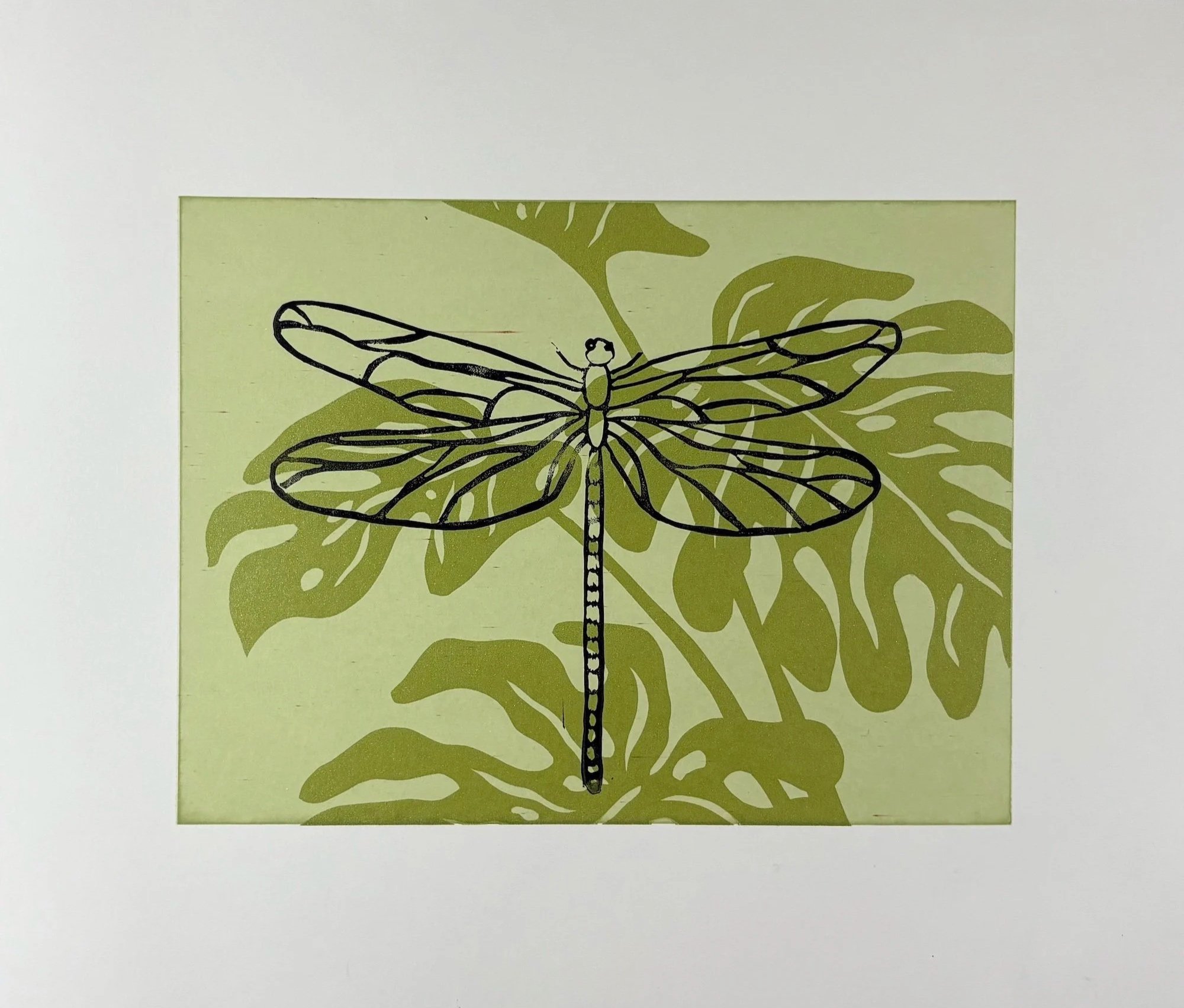 Monstera